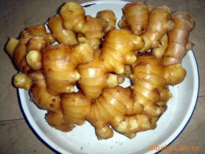 萊蕪市萊城區(qū)振興農(nóng)副產(chǎn)品綜合加工廠 推動農(nóng)副產(chǎn)品精深加工，助力鄉(xiāng)村振興