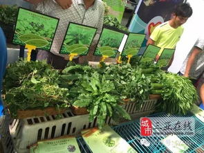 三亞市扶貧農(nóng)產(chǎn)品展銷會 農(nóng)副產(chǎn)品引圍觀，創(chuàng)意無限人潮涌動