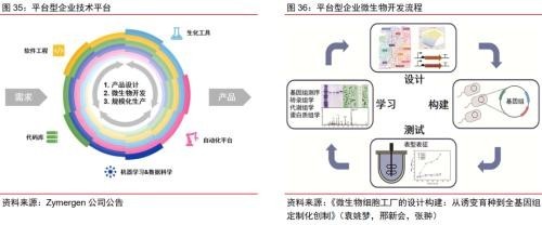 合成生物乘勢而起 顛覆傳統(tǒng)引領(lǐng)未來，軟件開發(fā)助力行業(yè)龍頭迎戴維斯雙擊